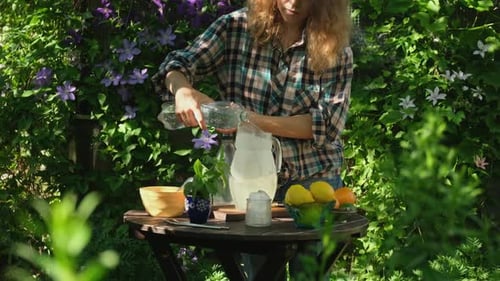 Erfrischendes Sommergetränk zur Herstellung hausgemachter Limonade im Garten