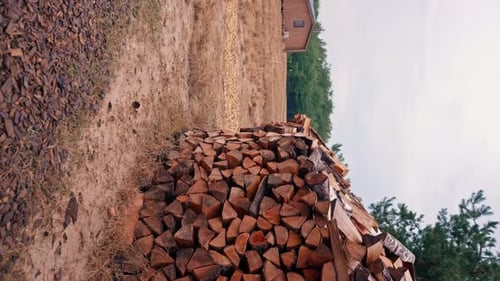 general plan of chopped wood A pile of firewood lying in a field near the forest, prepared fireplace