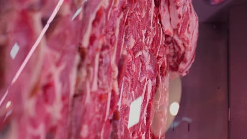 Close Up of Raw Meat Cuts Hanging