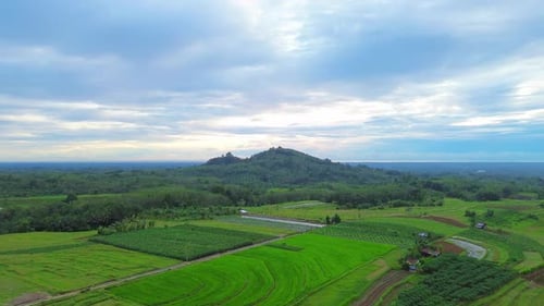 Wunderschöner Blick auf den Morgen, Indonesien, Panoramalandschaft, Reisfelder mit Schönheit, Farbe und natürlichem Himmel.