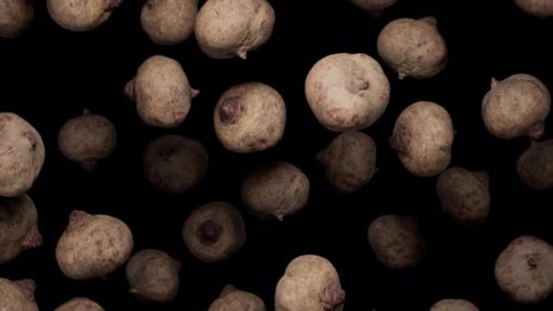 Animated Beets Falling on Black Background