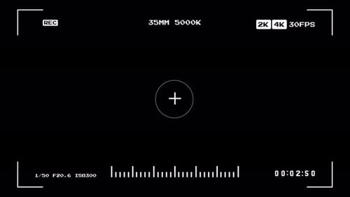 Camcorder Rec Screen Overlay
