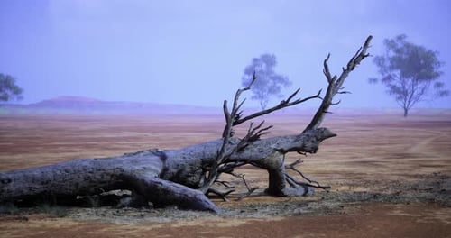 Dry Landscape Featuring a Fallen Tree and Sparse Vegetation in a Remote Area