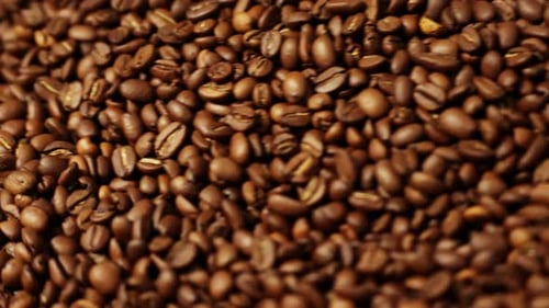Roasted Coffee Beans Rotating in Roasting Machine
