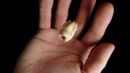 Tooth spins and falls onto the hand, man clenches it in his palm. Slow motion.
