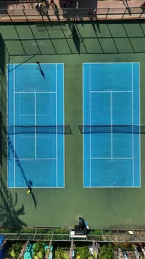 Vertical Video PalmEncircled Tennis Court Thrilling Game in Paradise