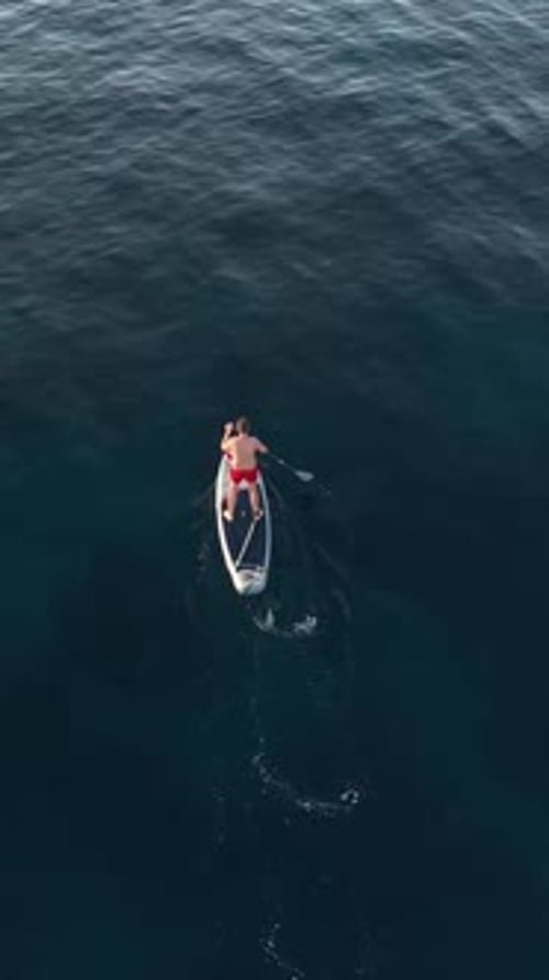 Vertical Video Aerial View of a Paddle Board a Man is Sailing on the Blue Sea
