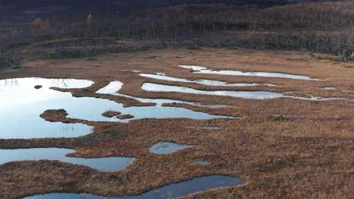 Aerial view of the lakes and ponds scattered through the marshland. Slow-motion, pan forward.