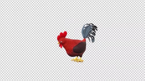 Animated Cartoon Rooster Pecking Ground with Alpha Channel