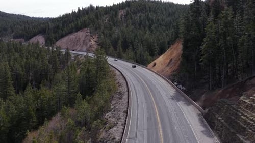 Nevada mountain highway curving through dense pine forest with exposed rocky hillside cuts, sparse