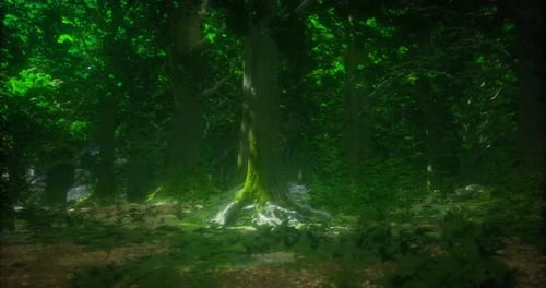 Mysterious Forest with Lush Greenery and Sunlight Filtering Through Trees