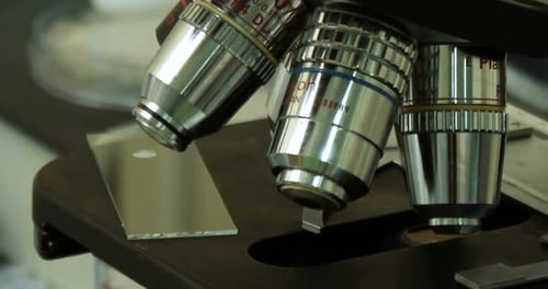 Scientist dripping liquid onto a test strip for microscopic examination