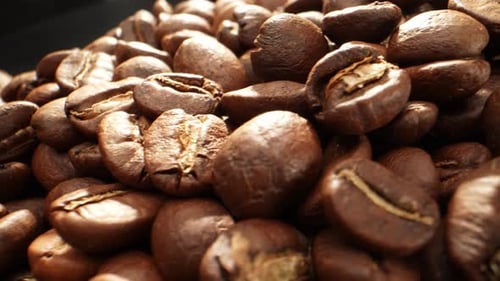 Beautiful coffee beans. Close-up macro video. 4K