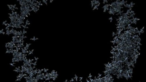 Halloween Flying Bat Swarm Transition Frame