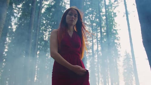 A woman wanders through a foggy forest in a red dress