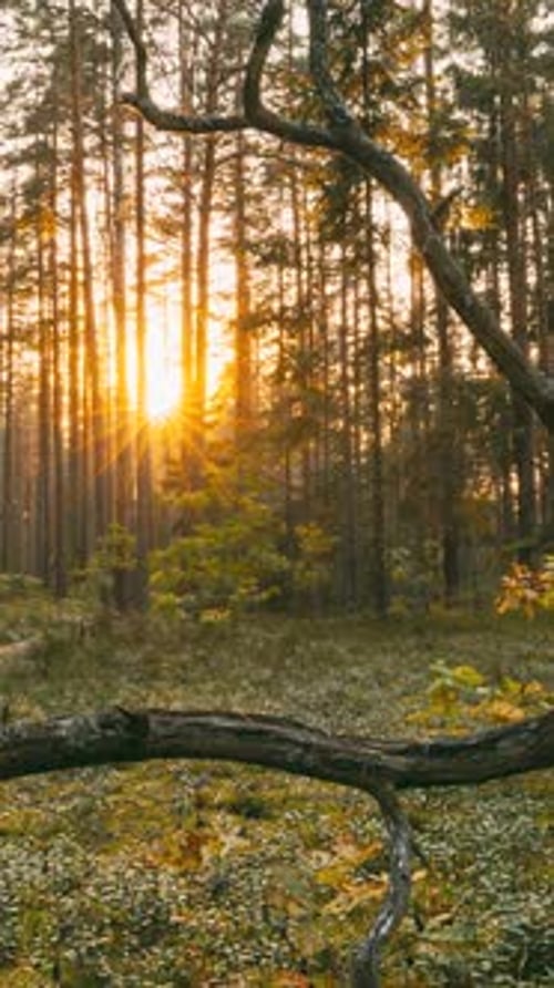 Europe : Lap de temps, magnifique coucher de soleil