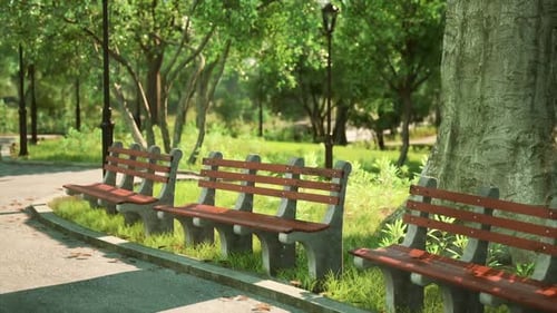 Comfortable Benches Line a Tranquil Park Path Surrounded By Lush Greenery