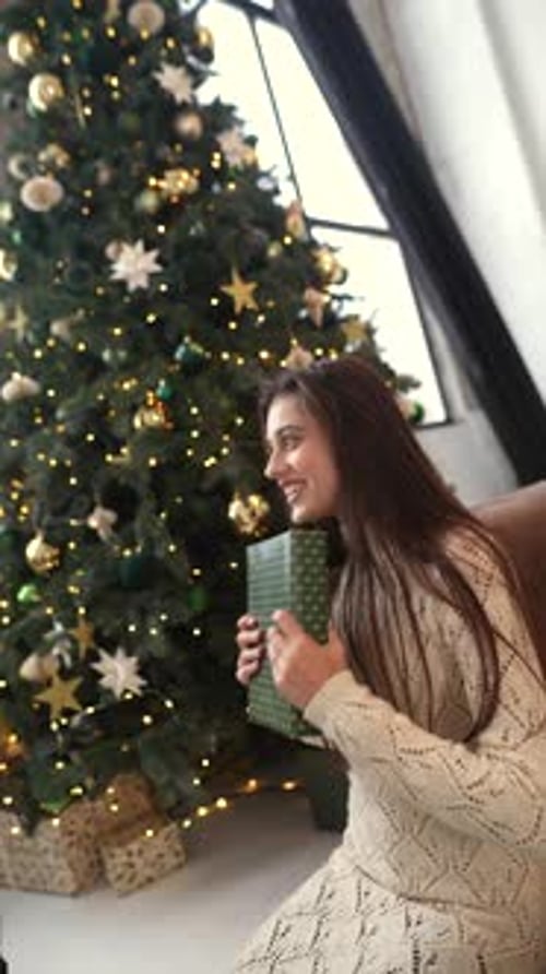 Couple Exchanging Christmas Gifts Near Decorated Tree