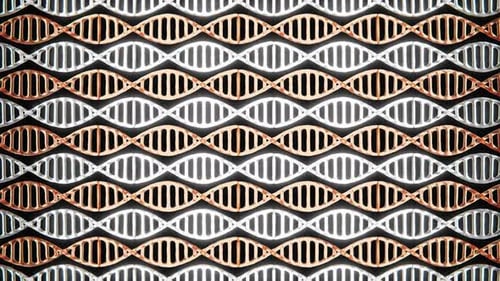 Gold and Silver DNA molecules move in a loop in 4K