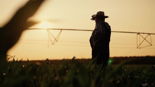 Tired Farm Worker Looking at Horizon in Beautiful Sunset or Sunrise in Farmland Beautiful Landscape