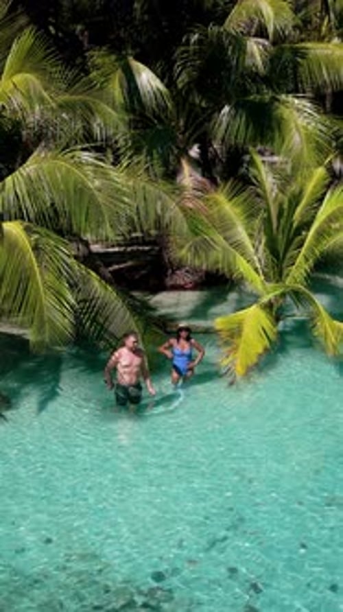 Discover Paradise in Koh Kood Thailand with Turquoise Waters and Lush Palm Trees