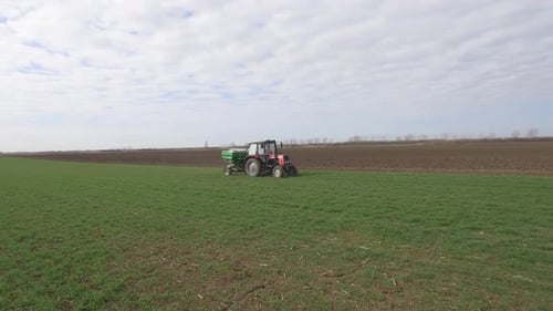 Tractor In A Wheat field Tossing Chemical Fertilizer