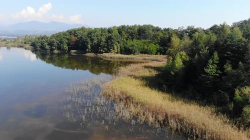 Contaminated lakeshore used for industrial chemical disposal, Aerial dolly in view
