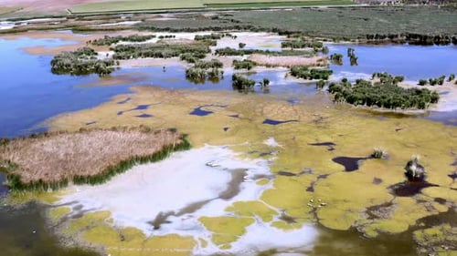 Aerial View of Expansive Wetlands Landscape