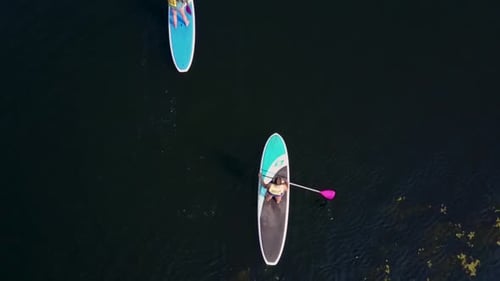 Aerial, top down, drone shot,of people paddle boarding on a lake, passing through frame, in Washingt