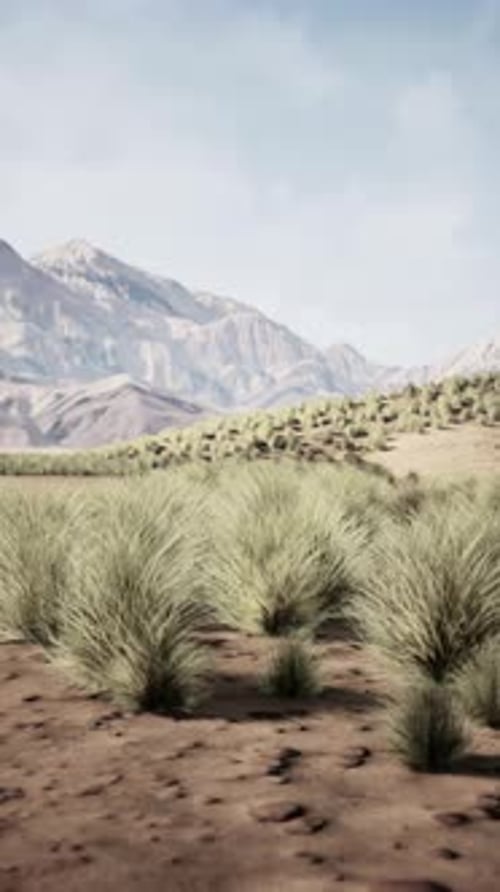 Desert Landscape With Distant Mountains
