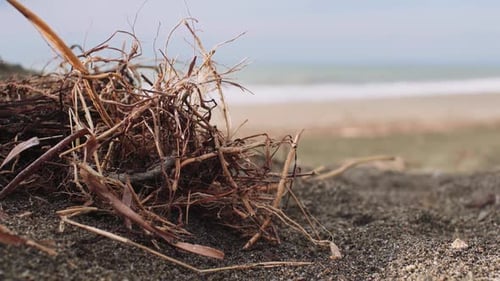 Closeup view of beach environment sea sand and sky in summer day. Beach sea space area.