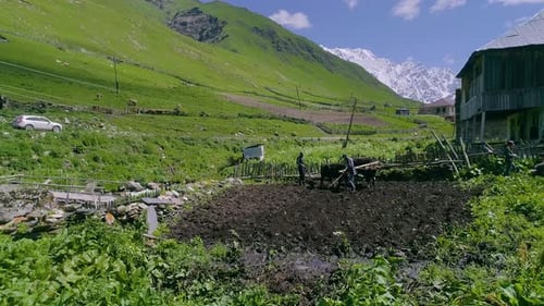 Usguli