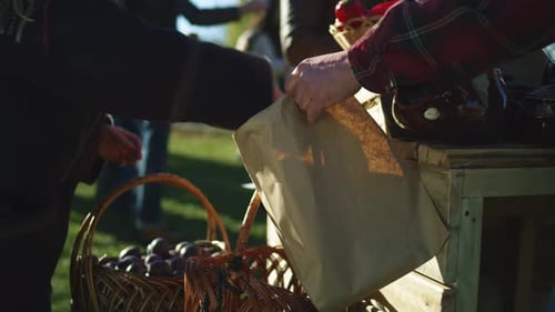Woman Buying Chestnuts at Farmers Market in Autumn