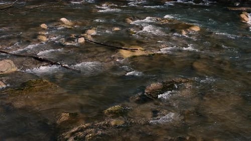Fast flow of water on a mountain river. Beautiful mountain river.