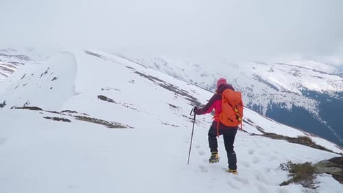 Mountain climber steps carefully into snow on ridge high in mountains. Woman with ski poles and back