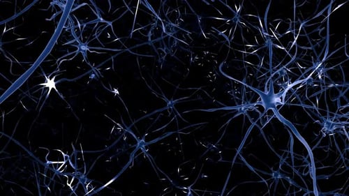 Animation of neuron cells. Nerve cells Activity in the Brain