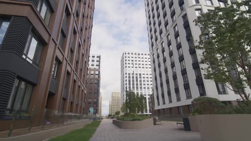 Bench in Front of Tree and Lawn with Skyscrapers in City District