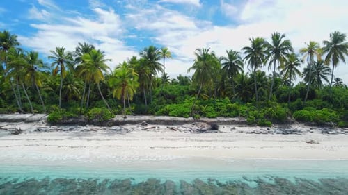 Maldives Islands Coastline Ocean and Tropical Beach with Palms Aerial View