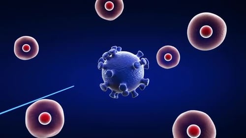 Human Vein Blood Stream. Infected By Viruses. Pandemic Disease.