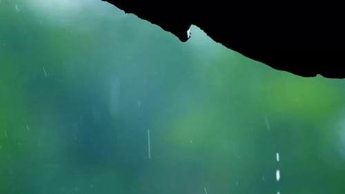 Water Drop Falling