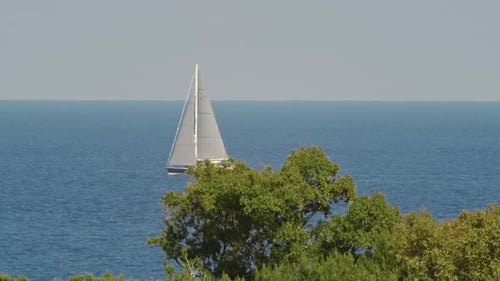 Sailboat Sails in the Sea