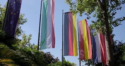 Flags of the world blowing gently in breeze