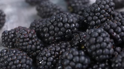 Fresh Ripe Blackberries 07