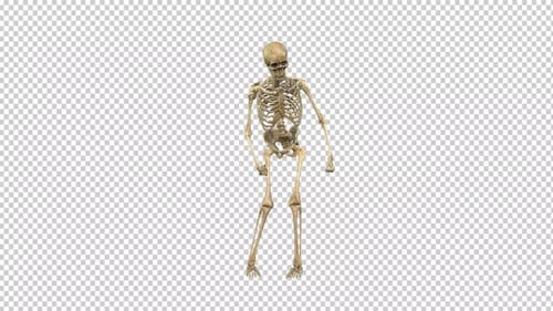 Dancing Skeleton Animation for Halloween Parties