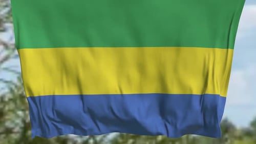 Gabon National Flag Realistic Waving Animation