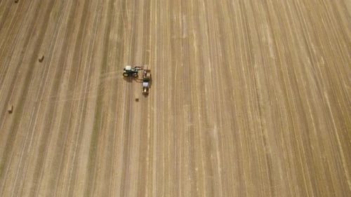 Aerial top down of tractor loading hay bales on transporter after harvesting on wheat field in summe