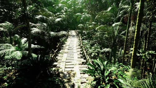 Early Morning Wilderness Bridge Radiates Warmth and Vitality