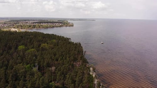 Sea Shore and Forest in Summer Aerial View