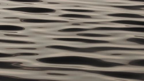 Water Ripples Reflecting Light on the Surface