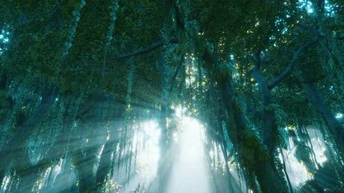 Mystical Sunbeams Piercing Through Deep Jungle Canopy